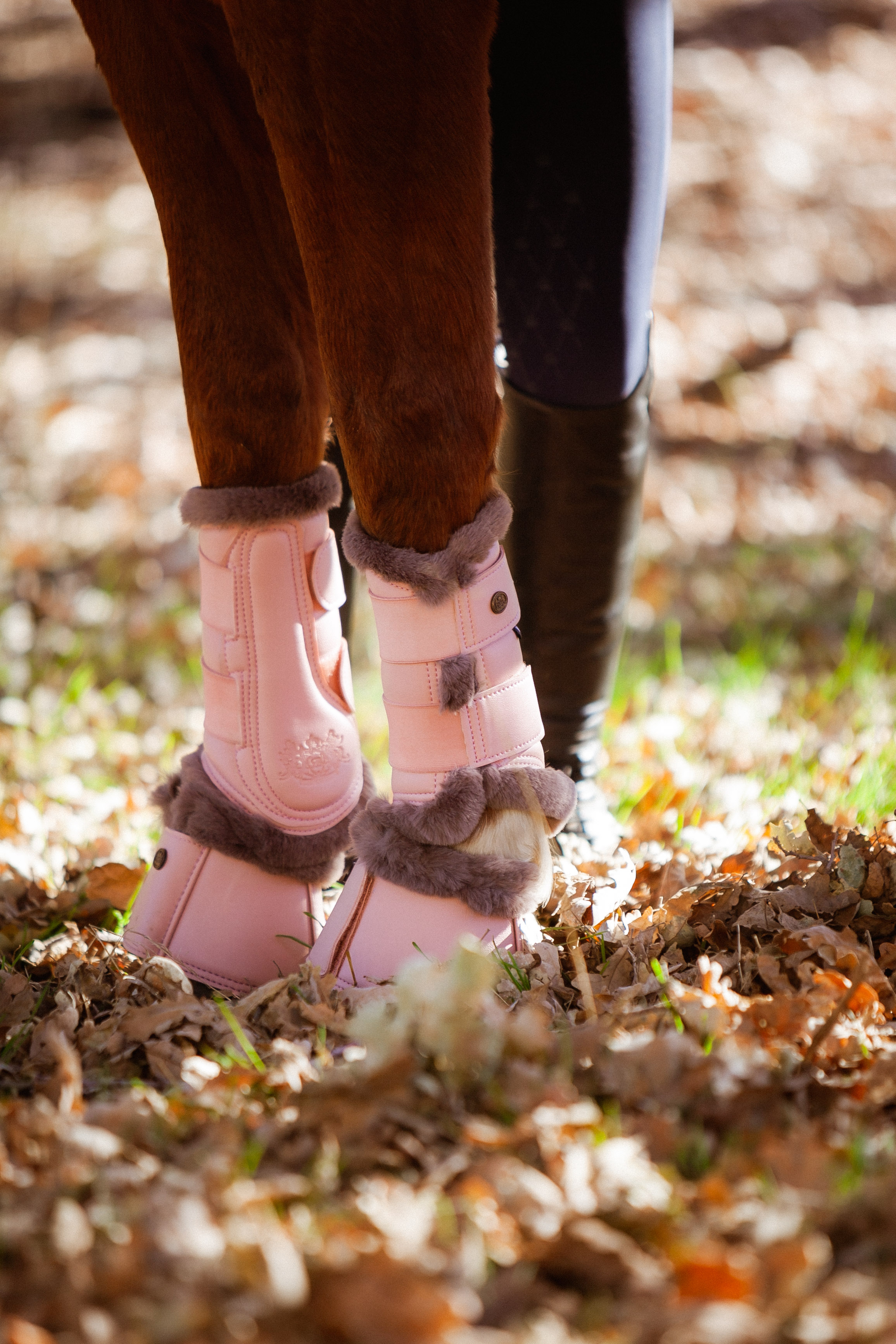 Premium Brushing Boots