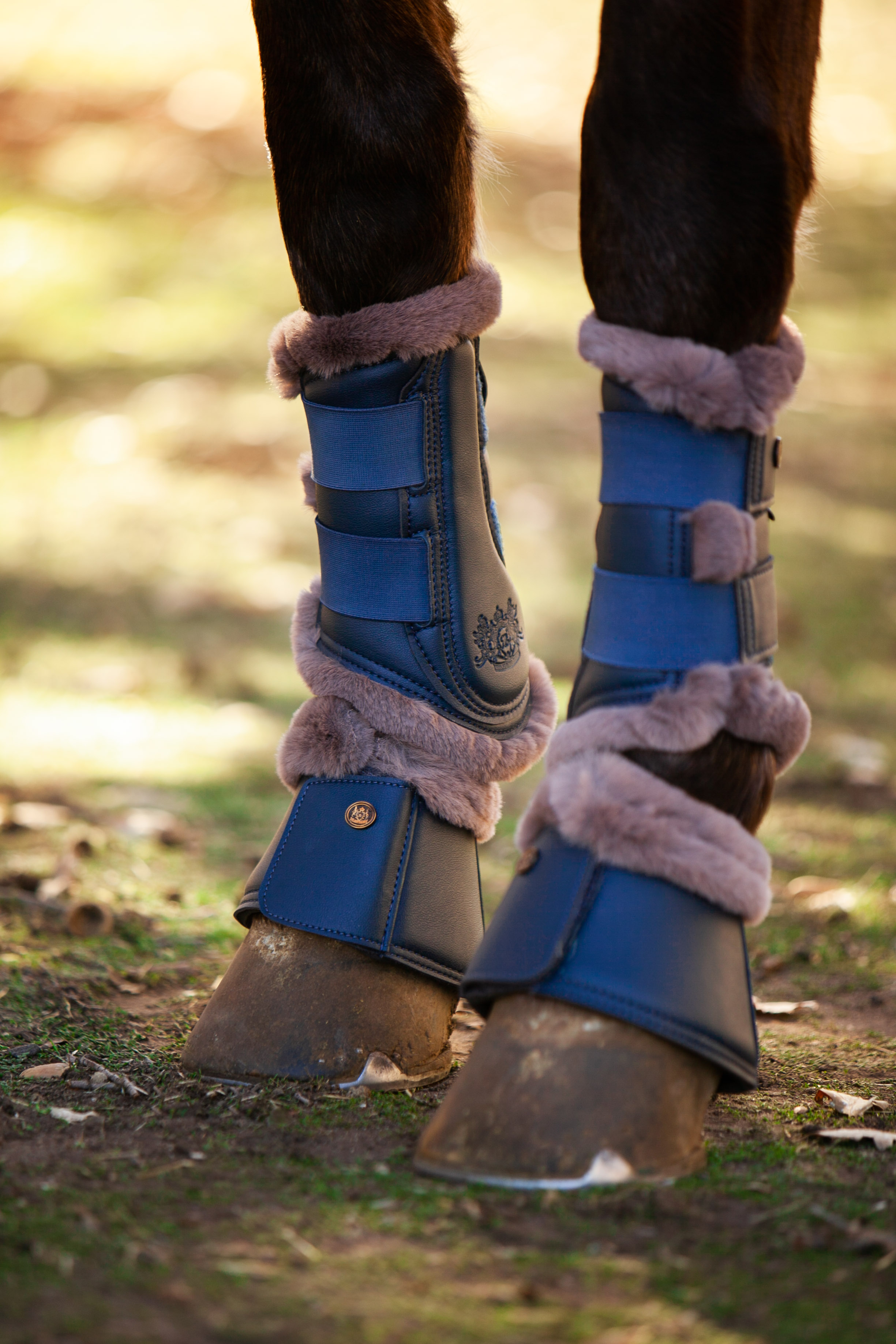 Brushing Boots