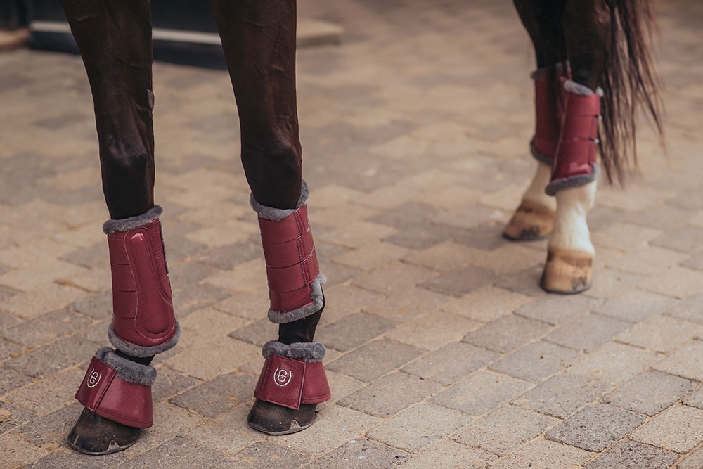 Brushing Boots