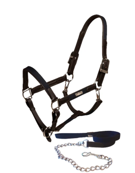 Equestrian Stockholm Halter & Lead Chain Navy Silver