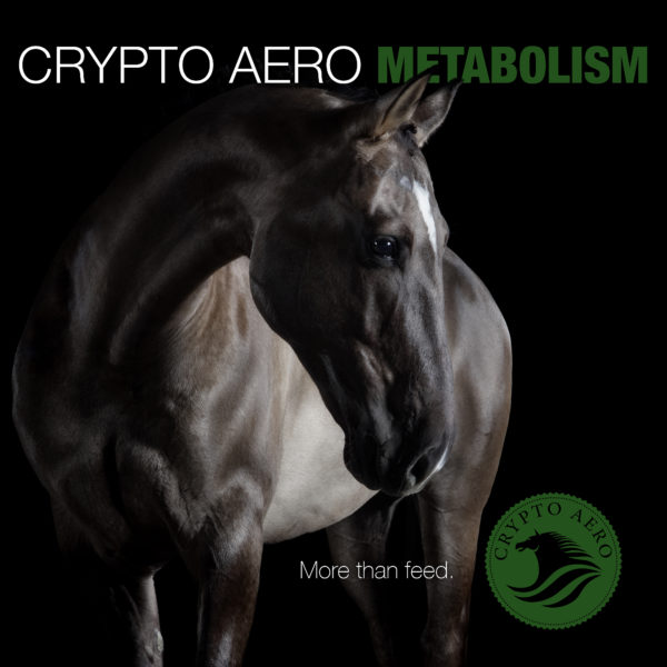 Crypto Aero- More Than feed