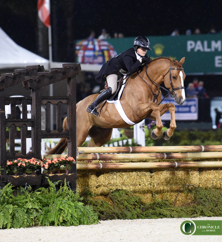 Two Veteran Partnerships And A “Blind Date” Top WCHR Hunter Spectacular