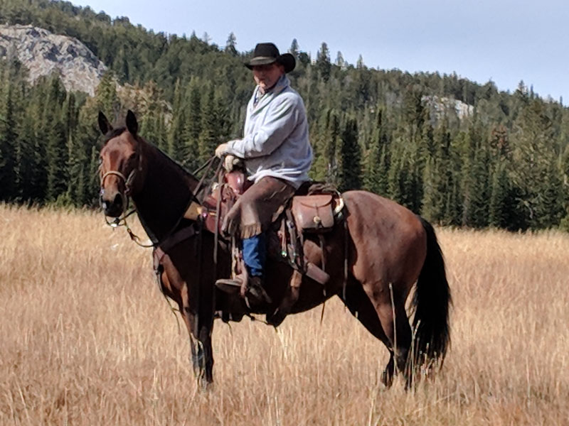 Back From The Brink: Kilkenny Cairo Heals At Her Home On The Range