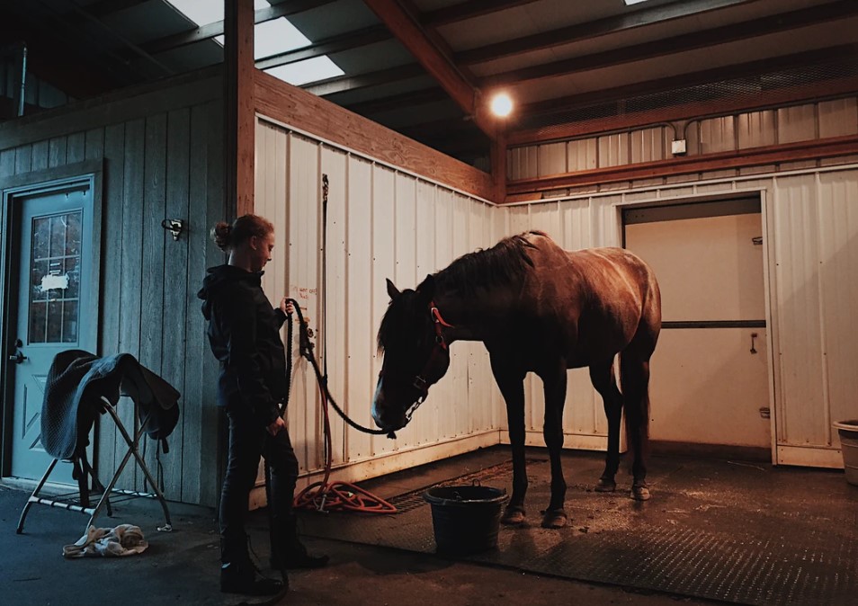 How To Tie A Horse Safely To A Post Or Rail