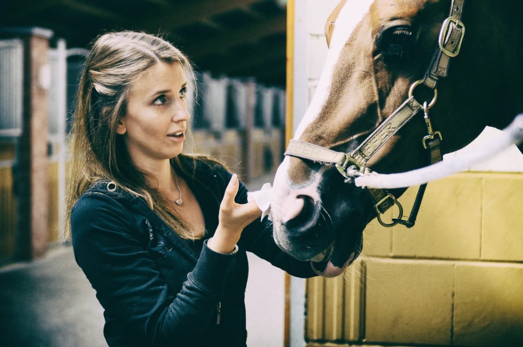 Should I Punish My Horse for Misbehavior?