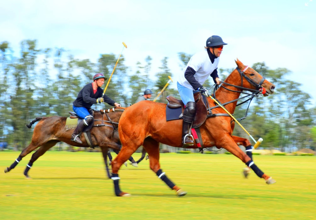 Prince Harry Plays Polo in First Sighting Since the Platinum Jubilee