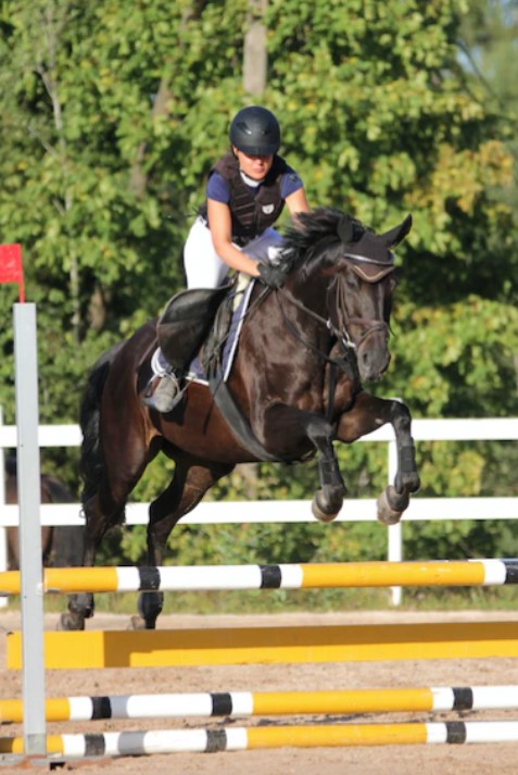 Change to eventing World Championships line-up as Olympian withdraws