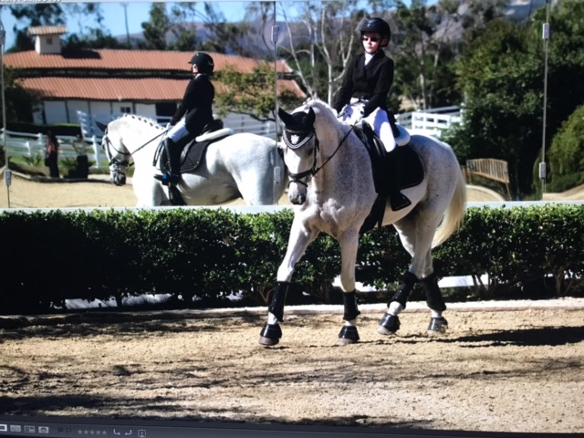 Interscholastic Equestrian League