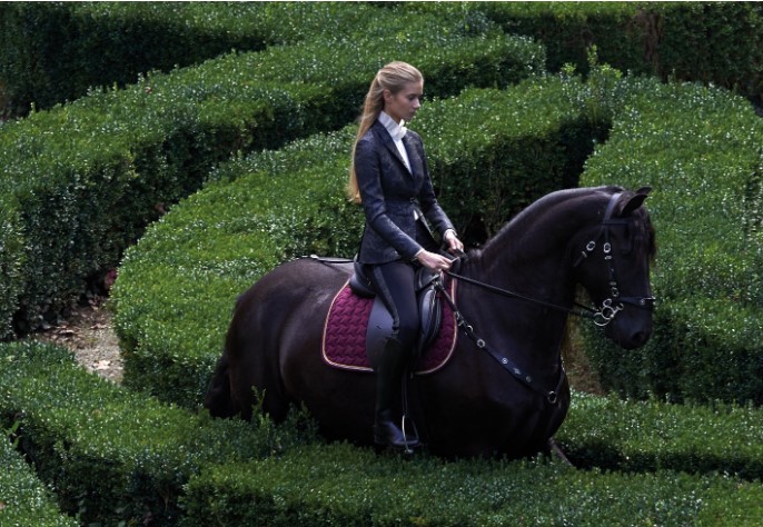 ITALIAN EQUESTRIAN WEAR  MIASUKI