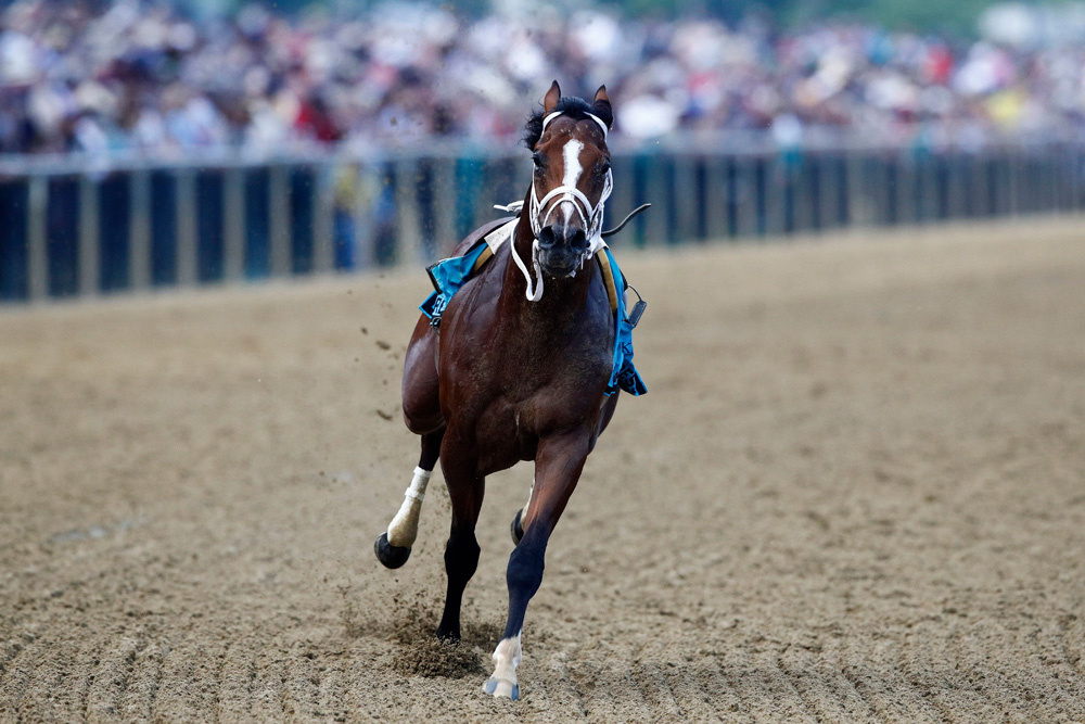 Preakness 2019 Bodexpress Bucks Jockey At Start And Finishes The Race Without A Rider